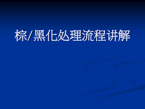 081202棕黑化制程介绍