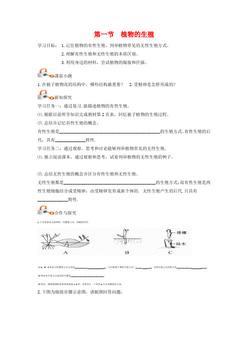 【人教版】八年级生物下册：7.1.1《植物的生殖》导学案