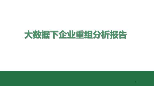 大数据下企业重组分析报告