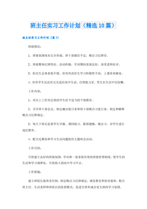 班主任实习工作计划(精选10篇)