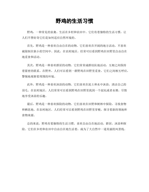 野鸡的生活习惯