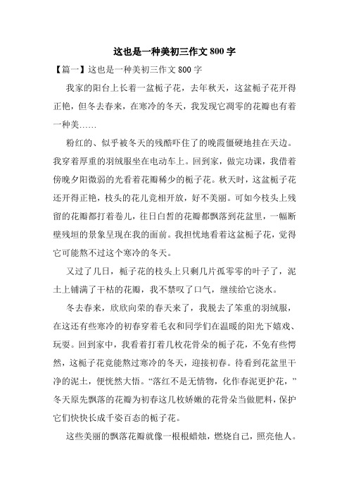 这也是一种美初三作文800字