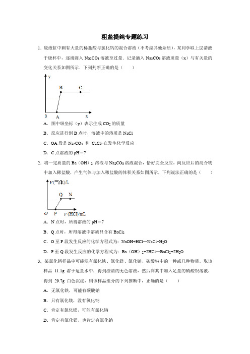 第一章+粗盐提纯专题-2024-2025学年浙教版九年级上册科学