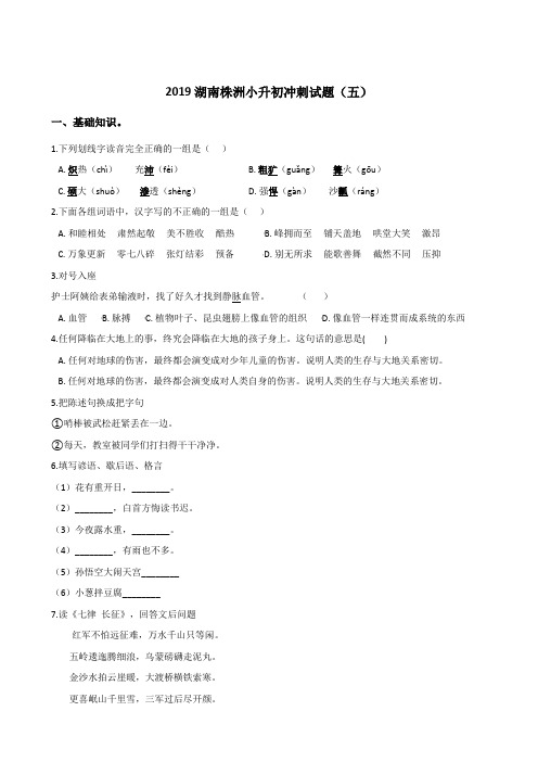 六年级下册语文试题--2019湖南株洲小升初冲刺试题(五) 人教新课标 含答案 (1)