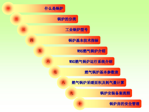 燃气锅炉培训资料ppt课件