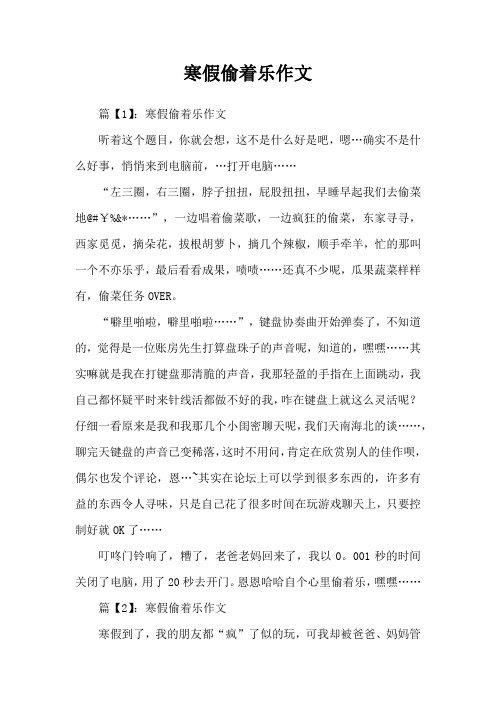 寒假偷着乐作文