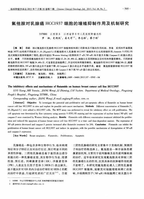 氟他胺对乳腺癌HCC1937细胞的增殖抑制作用及机制研究