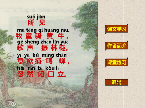 (赛课课件)西师大版一年级下册语文所见课件