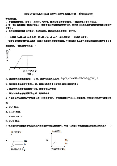 山东省滨州市阳信县2023-2024学年中考一模化学试题含解析