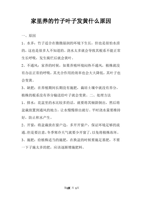 家里养的竹子叶子发黄什么原因