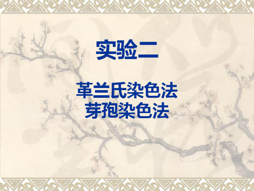 实验二 革兰氏(Gram)染色法、芽孢染色法