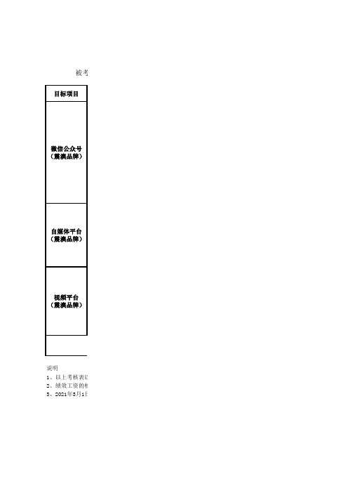 自媒体绩效考核表