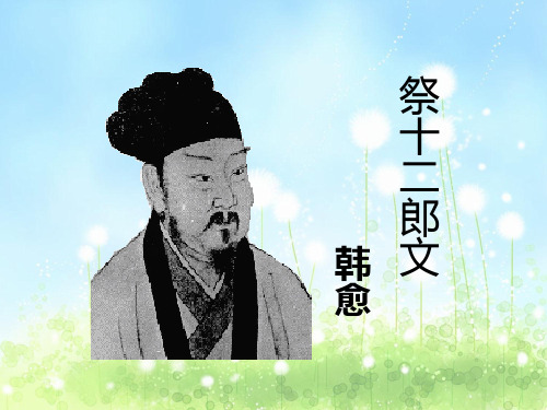 《祭十二郎文》ppt课件