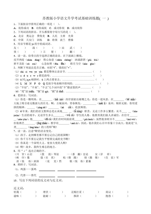 苏教版小学语文升学考试基础训练题资料