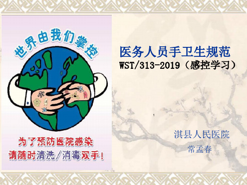 医务人员手卫生规范WST—313-2019(感控学习)ppt课件