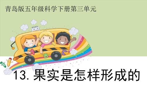 13《果实是怎样形成的》教学课件