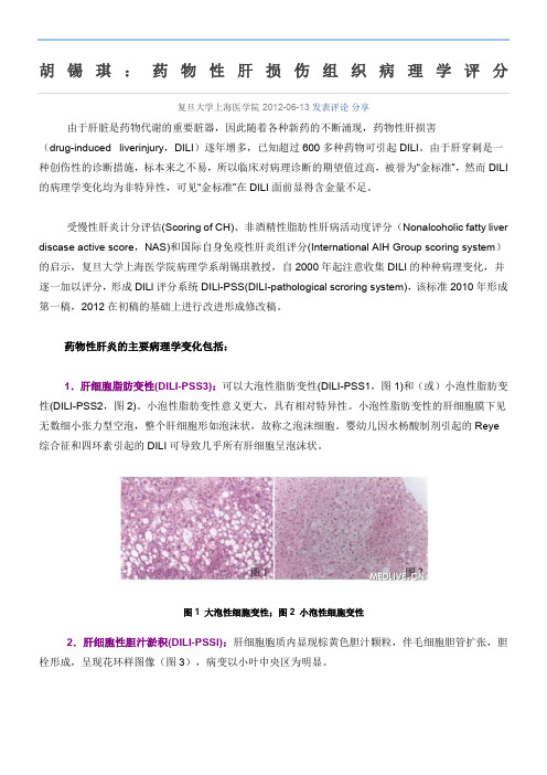 药物性肝损伤组织病理学评分