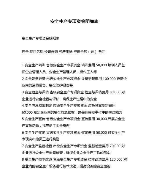 安全生产专项资金明细表