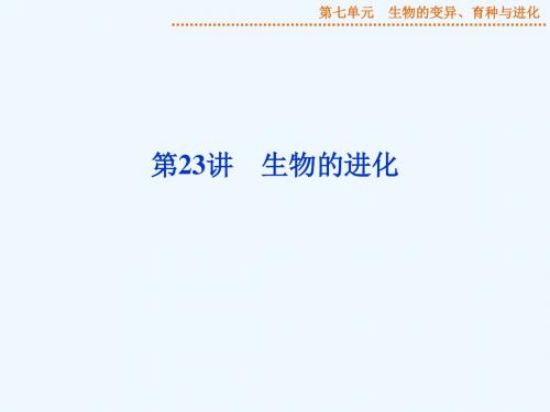 2015届《优化方案》高考生物(苏教版)一轮配套课件：第23讲 生物的进化