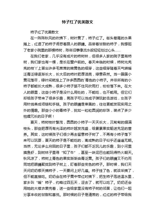 柿子红了优美散文