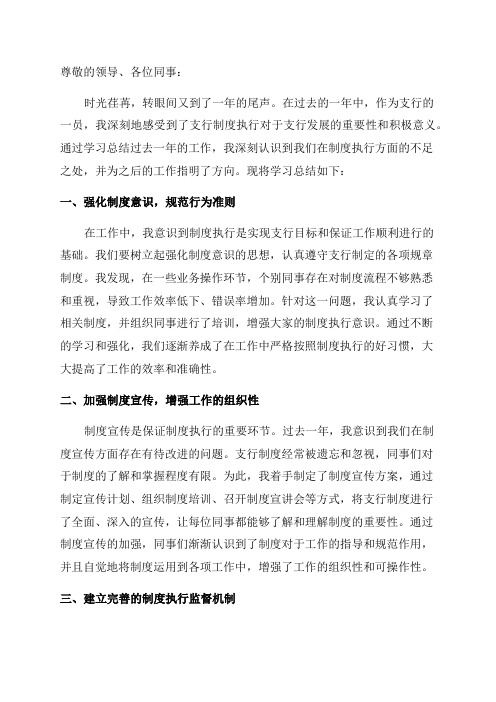 支行制度执行年学习总结