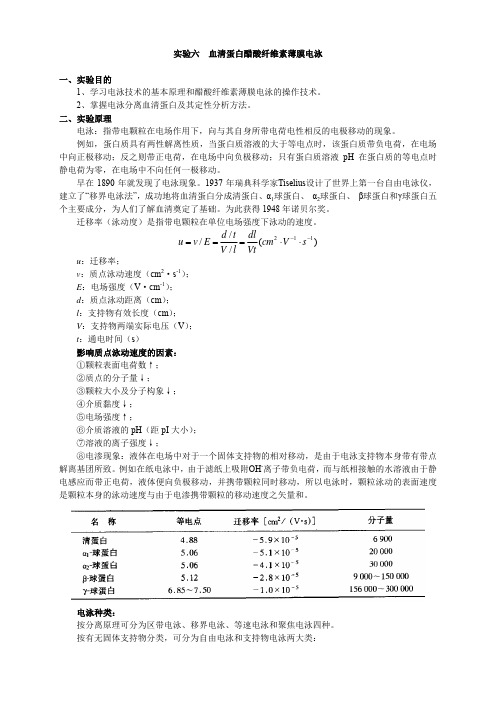 试验六血清蛋白醋酸纤维素薄膜电泳