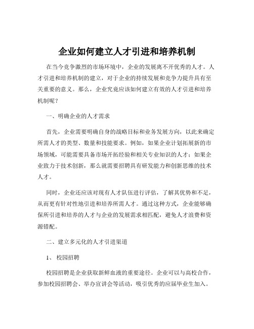 企业如何建立人才引进和培养机制