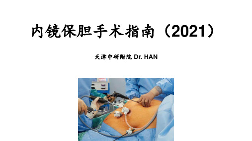 内镜保胆手术指南(2021)