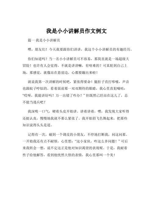 我是小小讲解员作文例文