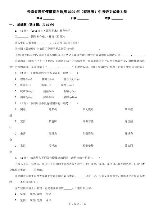 云南省怒江傈僳族自治州2020年(春秋版)中考语文试卷B卷