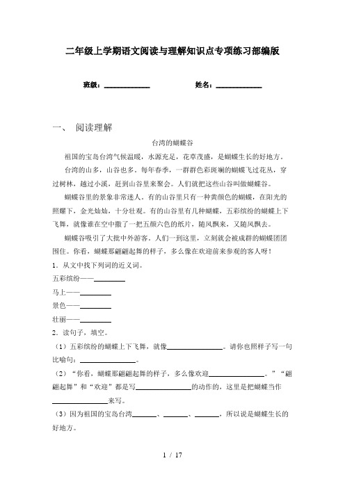 二年级上学期语文阅读与理解知识点专项练习部编版