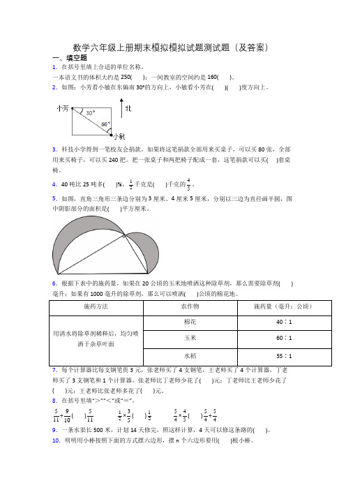 数学六年级上册期末模拟模拟试题测试题(及答案)