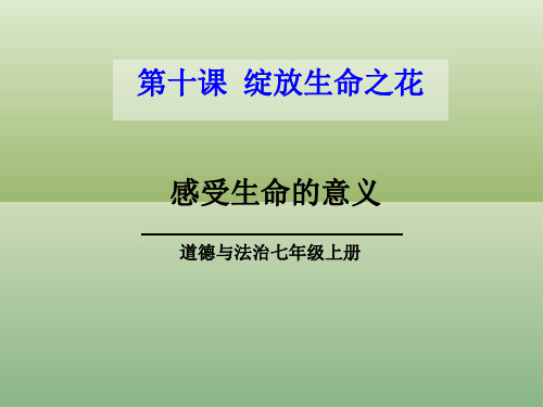 部编版道德与法治感受生命的意义_课件下载1