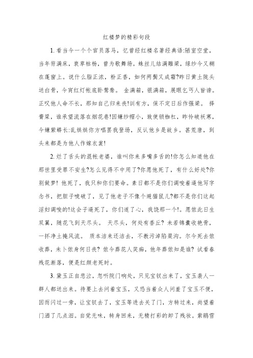 红楼梦的精彩句段