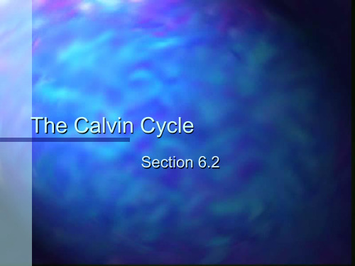 PowerPoint Presentation - The Calvin Cycle