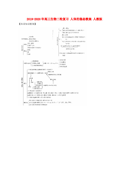 2019-2020年高三生物二轮复习 人体的稳态教案 人教版