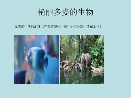 华师大版七年级上学期科学课件：1.1 艳丽多姿的生物 (共31张PPT)