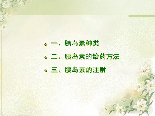 胰岛素注射及技巧ppt课件