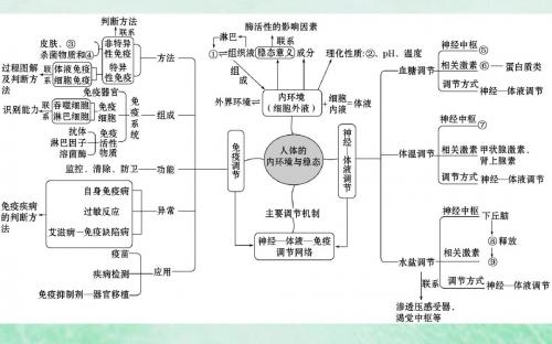 2019版高考生物二轮复习专题九人体内环境稳态和免疫调节课件