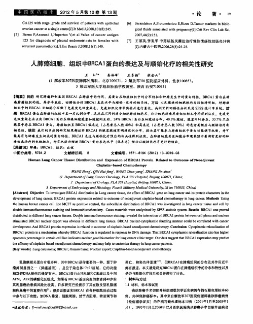 人肺癌细胞、组织中BRCA1蛋白的表达及与顺铂化疗的相关性研究