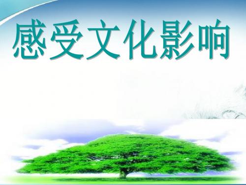 2017——2018学年高二政治人教版必修3   2.1感受文化影响课件(32张)