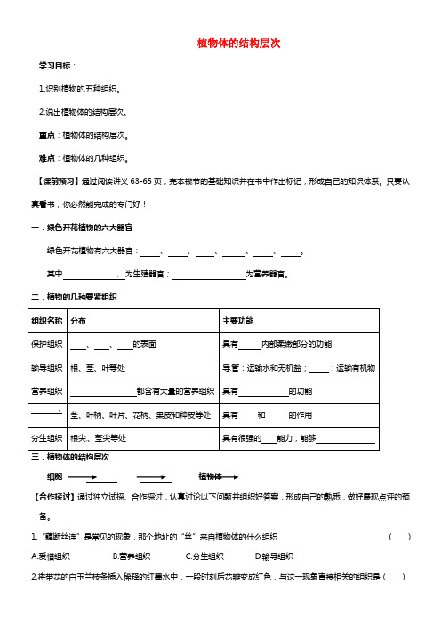 七年级生物上册 2.2.3 植物体的结构层次导学案