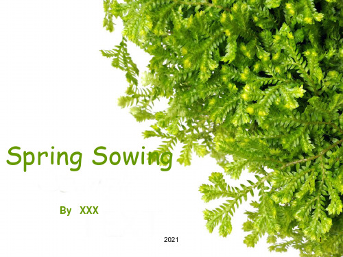 Spring-Sowing(春耕)作者及爱尔兰简介PPT课件