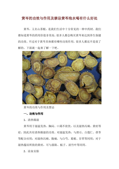 黄岑的功效与作用及禁忌 黄芩泡水喝有什么好处