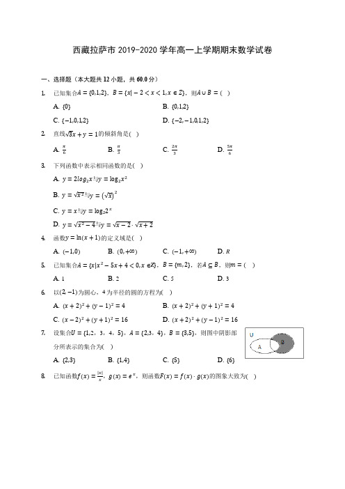 西藏拉萨市2019-2020学年高一上学期期末数学试卷 (有解析)