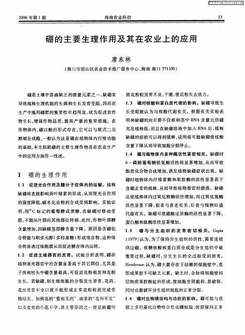 硼的主要生理作用及其在农业上的应用
