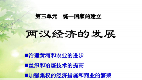 人教版初中七年级历史上册单课件-第课两汉经济的发展