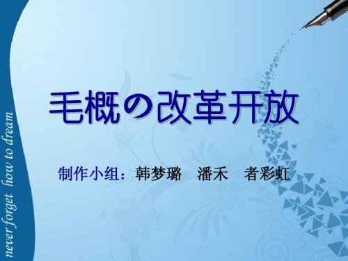 毛概の改革开放