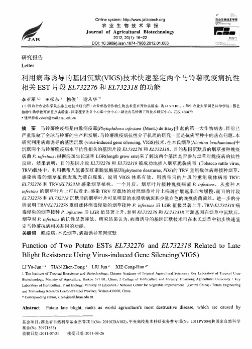 利用病毒诱导的基因沉默(VIGS)技术快速鉴定两个马铃薯晚疫病抗性相关EST片段EL732276和EL732318的功