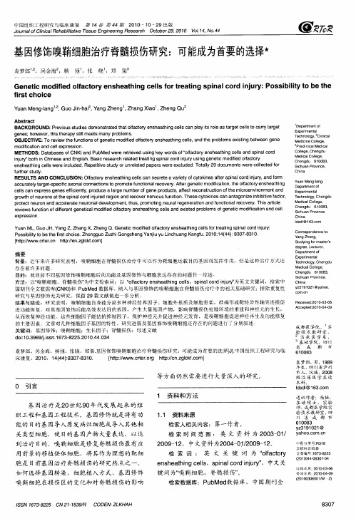 基因修饰嗅鞘细胞治疗脊髓损伤研究：可能成为首要的选择